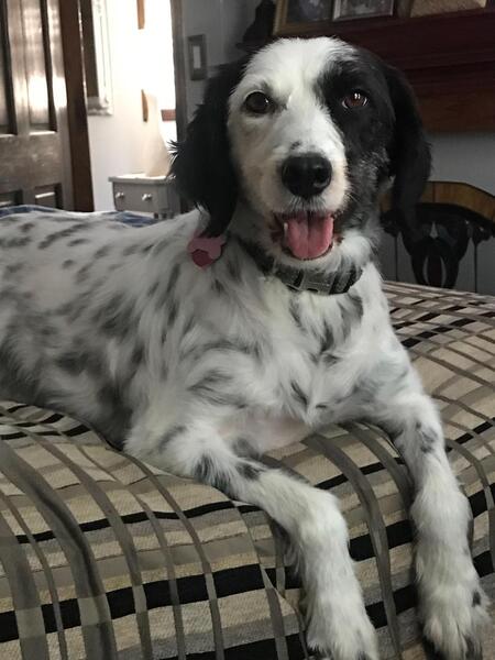 Entry image for Sweets Joseph. Clicking this image will show a larger photo