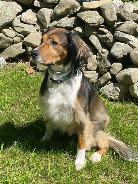 Entry image for Danny McDermott. Clicking this image will show a larger photo