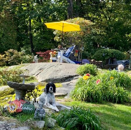 Entry image for Buster Dellicker. Clicking this image will show a larger photo