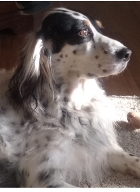 Entry image for Ruby Rumler. Clicking this image will show a larger photo