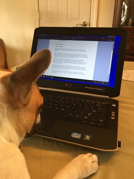 Louie working remote