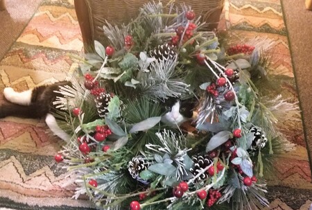 Bruce Celebrates the Holidays