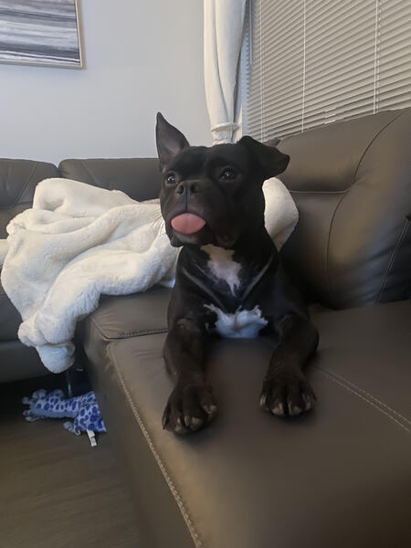 Sophie