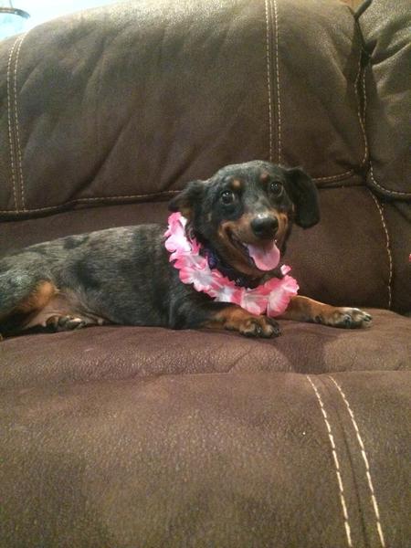 Dakota aka Smiley