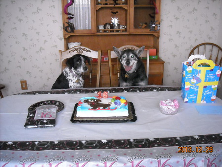 Molly & Jack