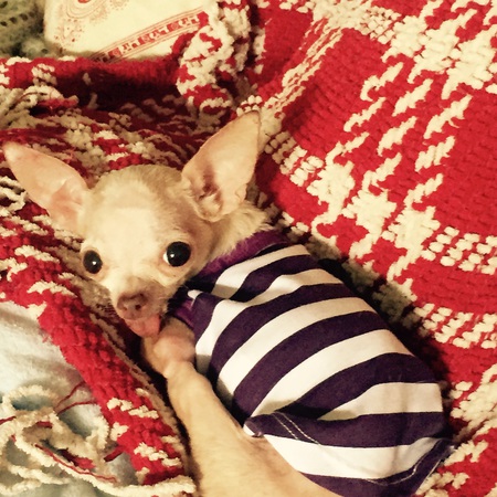 Pinky