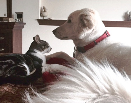 Jack & Miller