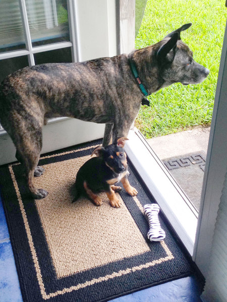 Bronx & Betzie 