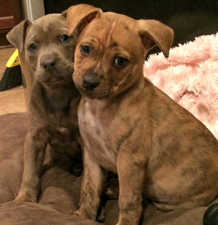 Marra & Mindy 