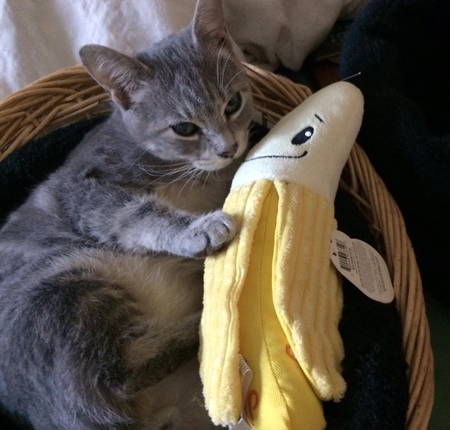 Banana