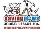 Saving Paws Animal Rescue Inc.