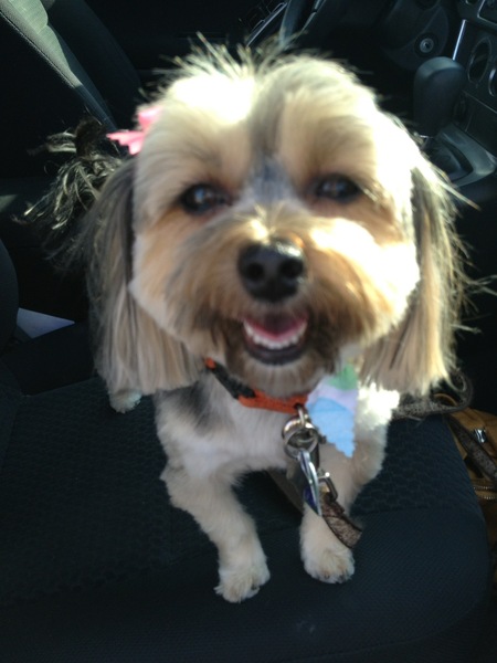 Millie