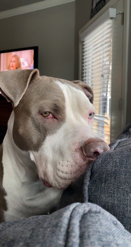 Zeke