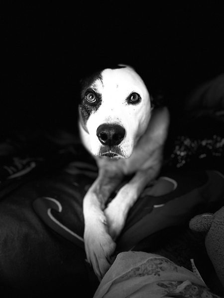Gus 