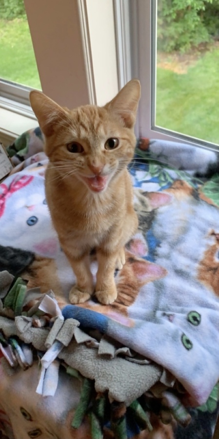 Oliver