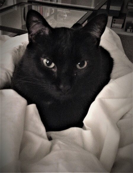 Romeo