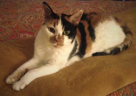 Gabby