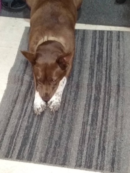 Coco