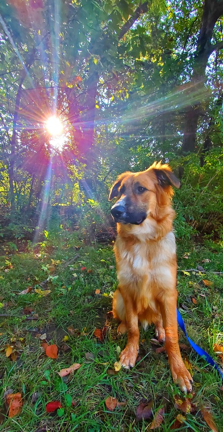 Luca