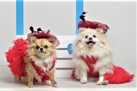 Maizie and Annie