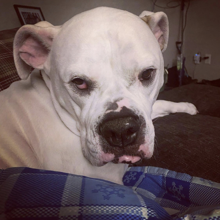 Nora