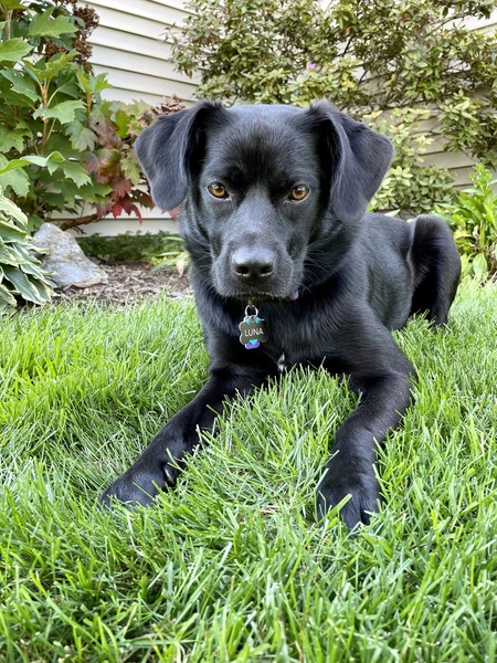 Luna