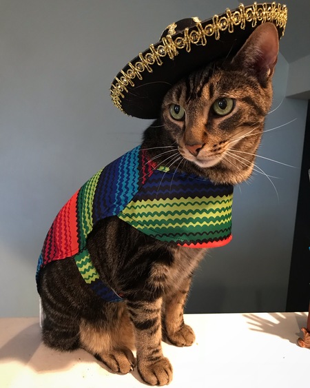 Gus 