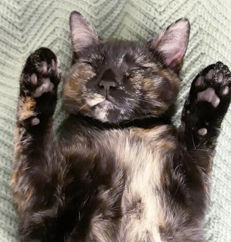 Eloise
