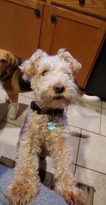 Maggie