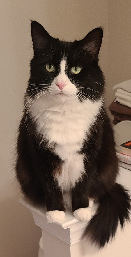 Luna