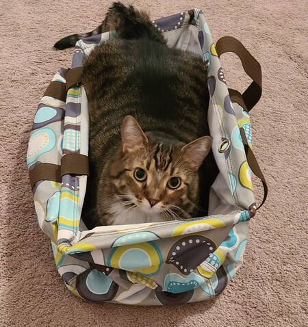 BB