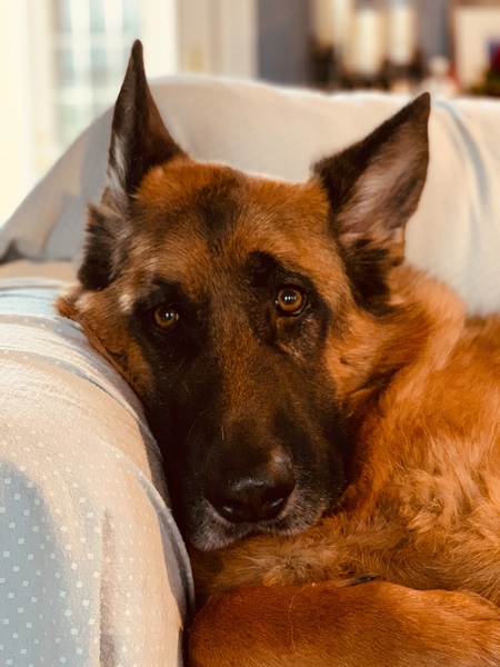 Ranger