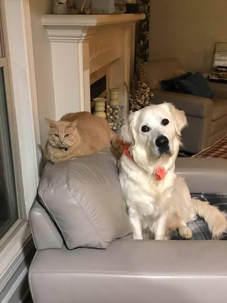 Tawny and Savannah