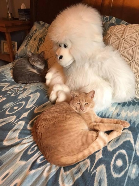 Tawny & Sage