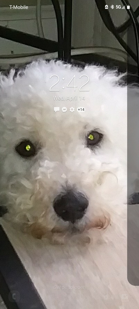 Alfie