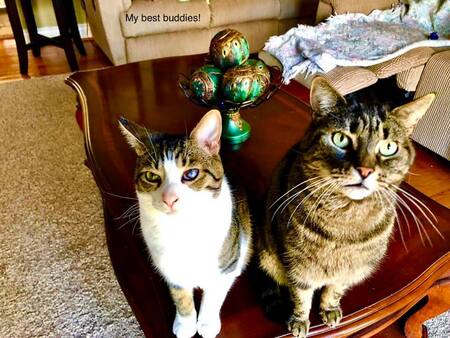 Tater & Precious