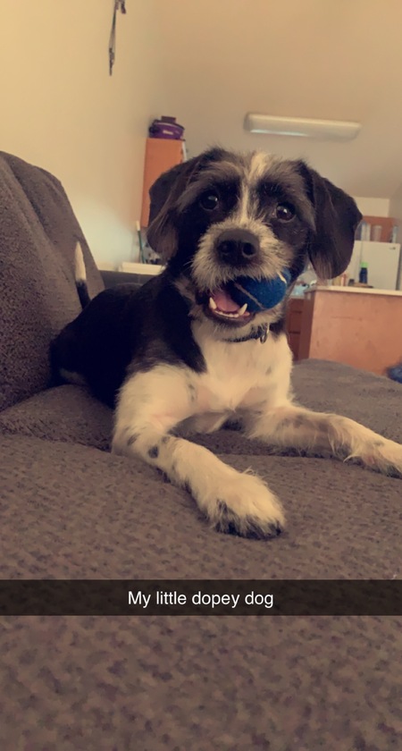 Abby