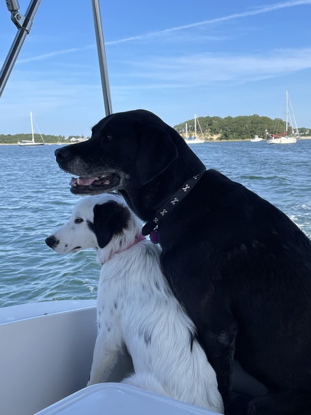 Oscar & Luna