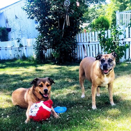 LilyButt & Brody