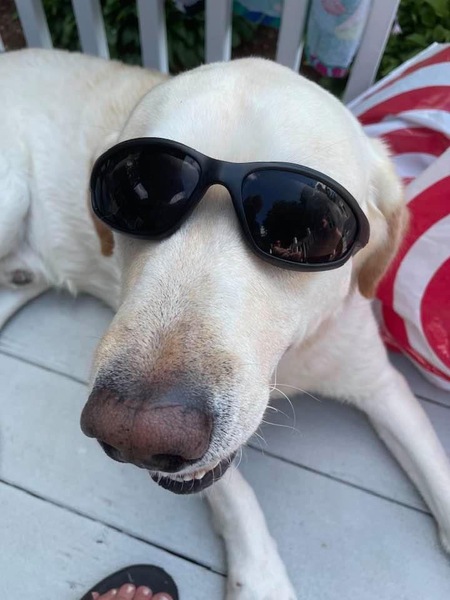 Jax