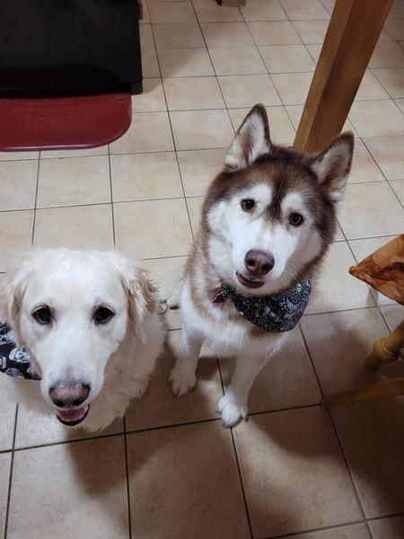 Kasey and Haschi