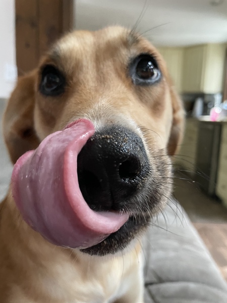Ellie
