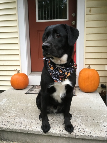 Duke
