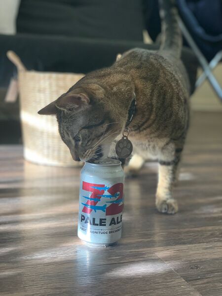 Babou
