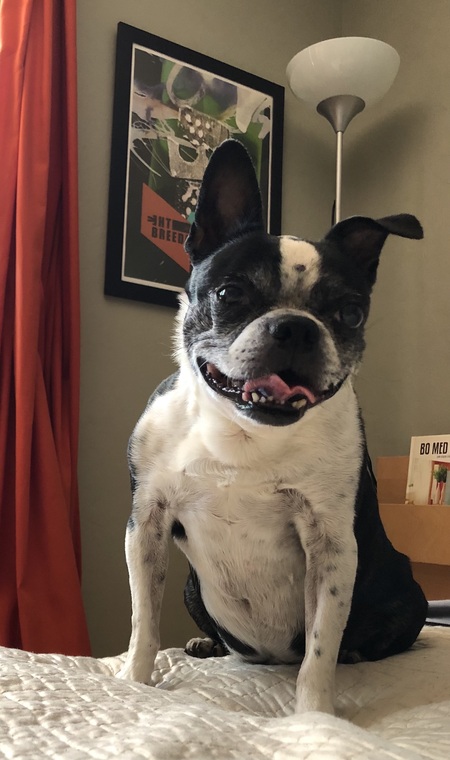 Clancy (aka The Clanceman)