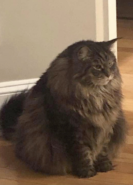 Leo