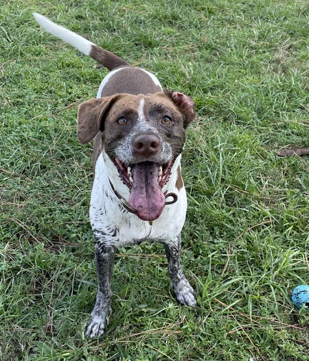 Rigby