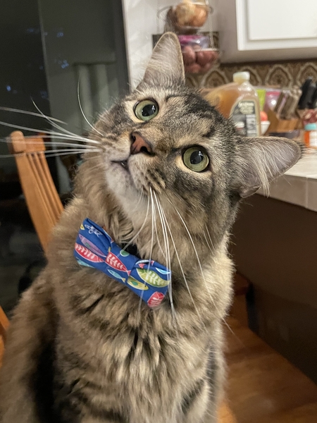 Charles