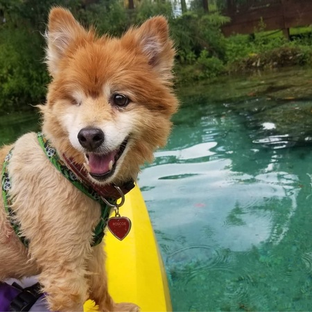 Roscoe