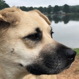 Entry image for Misty